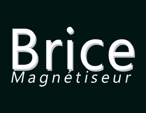 Brice Magnétiseur